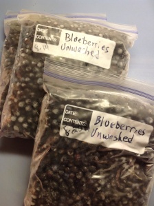 Unwashed Frozen Blueberries